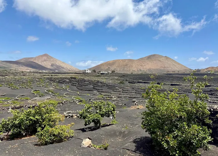Βίλα Canaryislandshost I Azucena